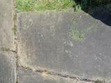 image of grave number 956884